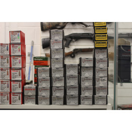 NOSLER VARMAGEDDON  – .223 55G FB TIPPED Qty 100 #17240